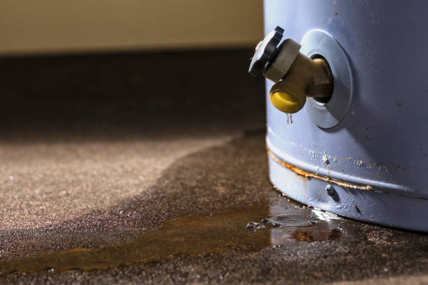 Sewage cleanup and water damage restoration in Independence, MN