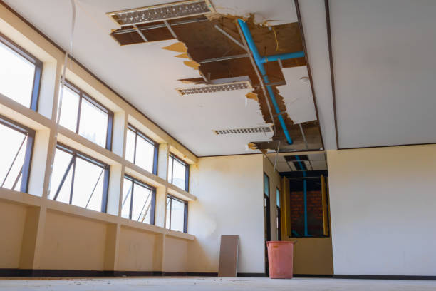 Best Water damage restoration near me  in Independence, MN