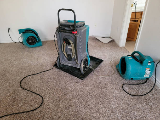 Best Sewage cleanup and water damage restoration  in Independence, MN