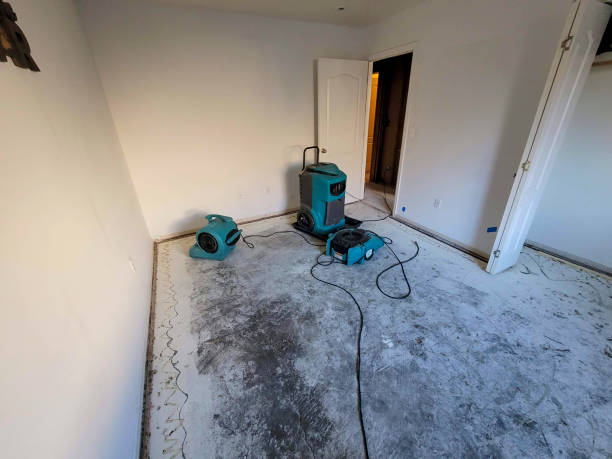 Best Residential water damage restoration  in Independence, MN