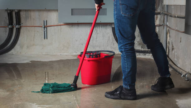 Best Emergency water damage restoration  in Independence, MN