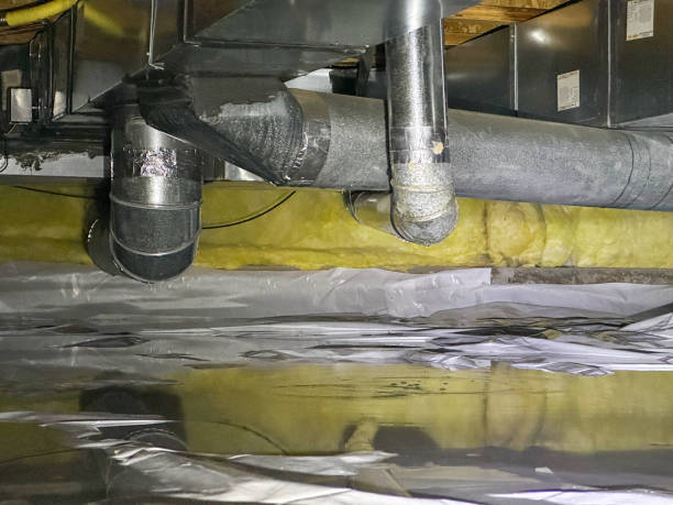 Best Ceiling water damage repair  in Independence, MN