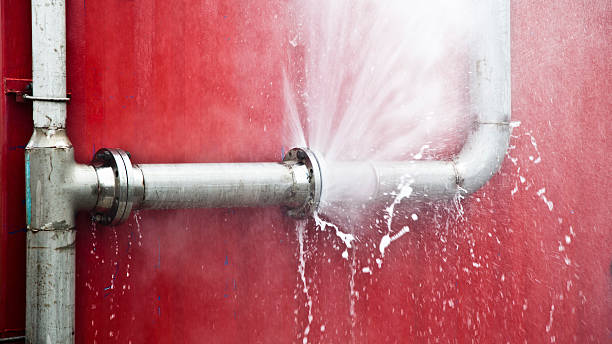Best Sewage cleanup and water damage restoration  in Independence, MN